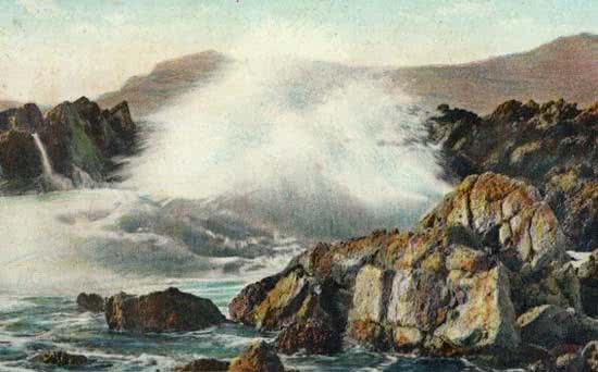 EE_2005_13_Ile_Saint_Marguerite