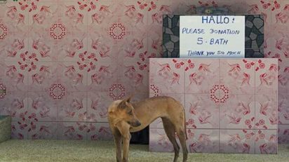 Natalia_Alonso_Fernandez