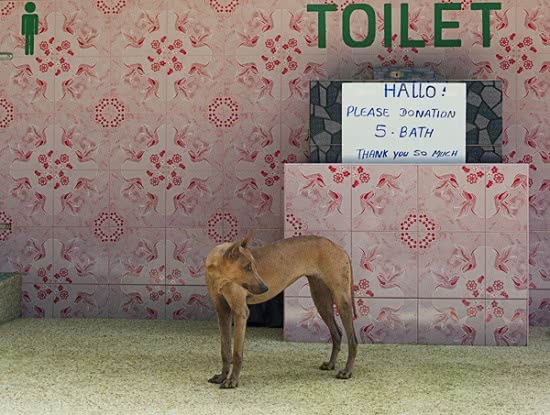 Natalia_Alonso_Fernandez