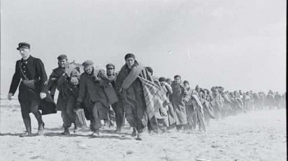 mexican_suit_capa_taro_chim