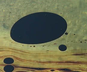 Nasrin_Tabatabai_y_Babak_Afrassiabi