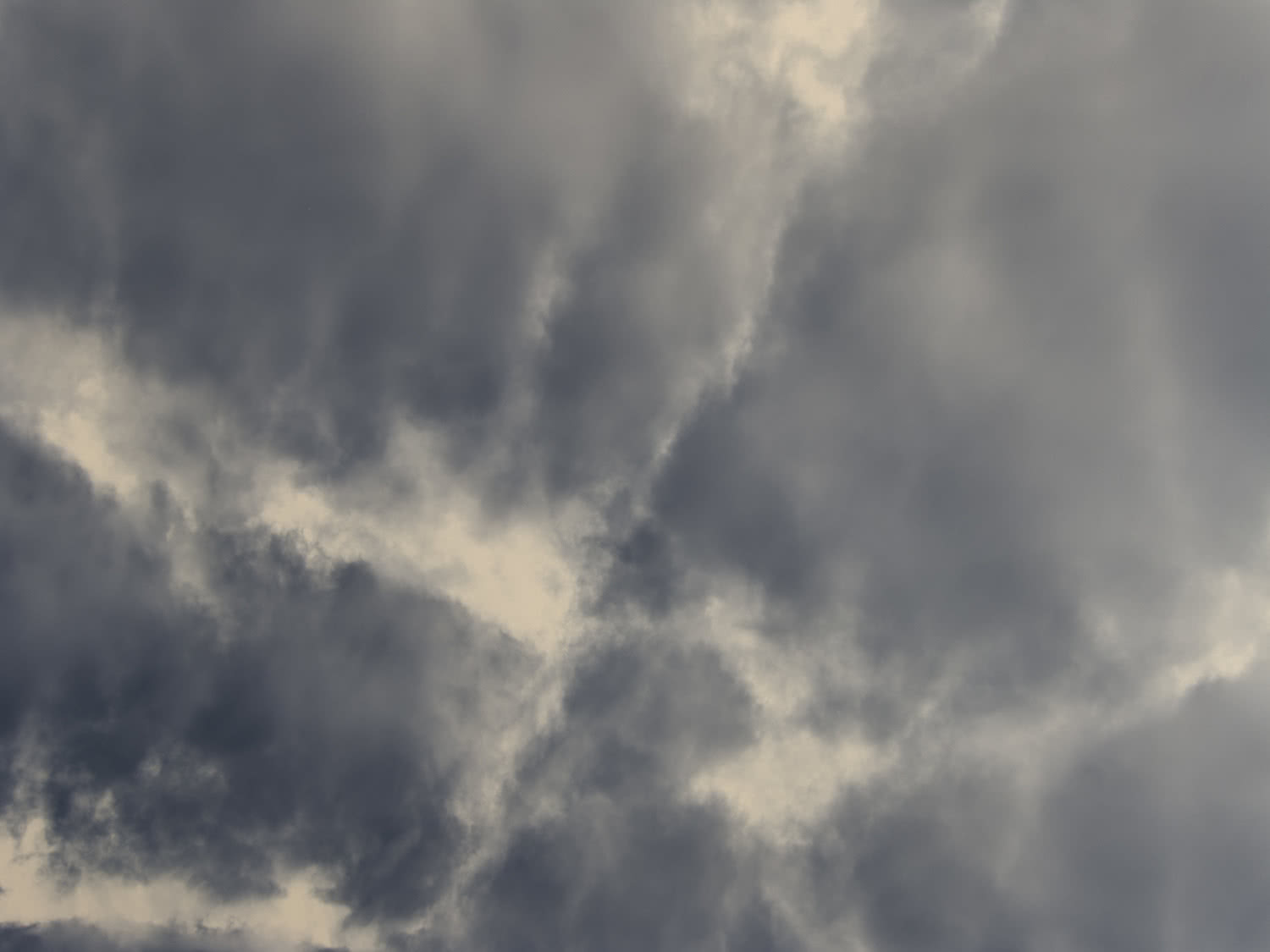 Adrian Sauer. 20.09.2013. Impresión digital. Galería Helga de Alvear.