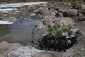 Plantas Nómadas de Gilberto Esparza, Premio VIDA 13.0 © Gilberto Esparza.