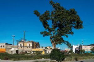 Teresa Margolles. 'El testigo', 2013.