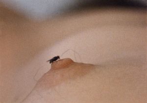 Fotograma de Mosca (Fly), 1970. Protagonizada por Virginia Lust. Película de 16 mm transferida a digital, en color, con sonido. 25 min. Banda sonora de Yoko Ono. Colección particular. © Yoko Ono