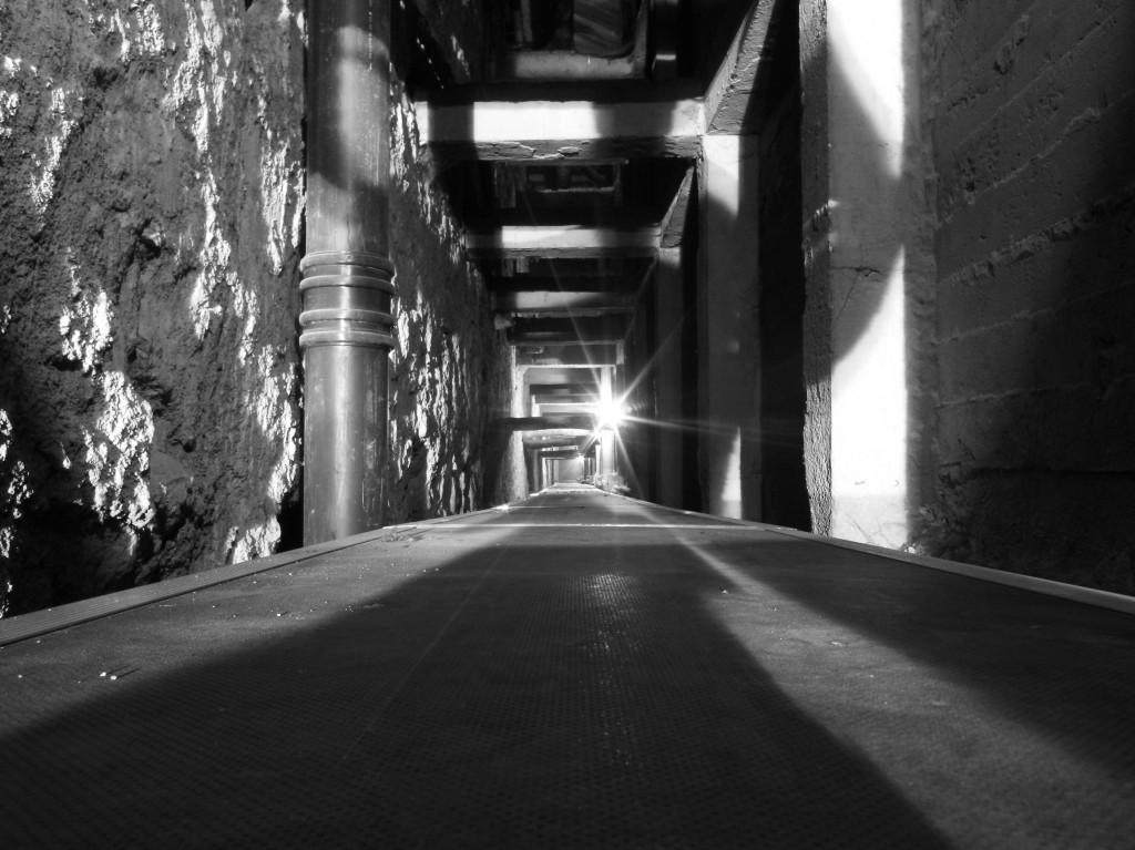 Interior de la camara bufa del Teatro Real (Madrid) para la documentacion estratigrafia y lectura de paramentos. (Archivo Latova)