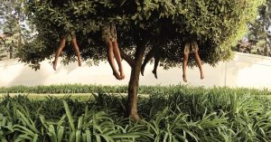 Ellen Kooi. Lissabon - tree. 2007. 90 x 172 cm.