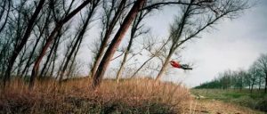 Ellen Kooi. Muiderzand - wind. 2006. 80 x 188 cm.