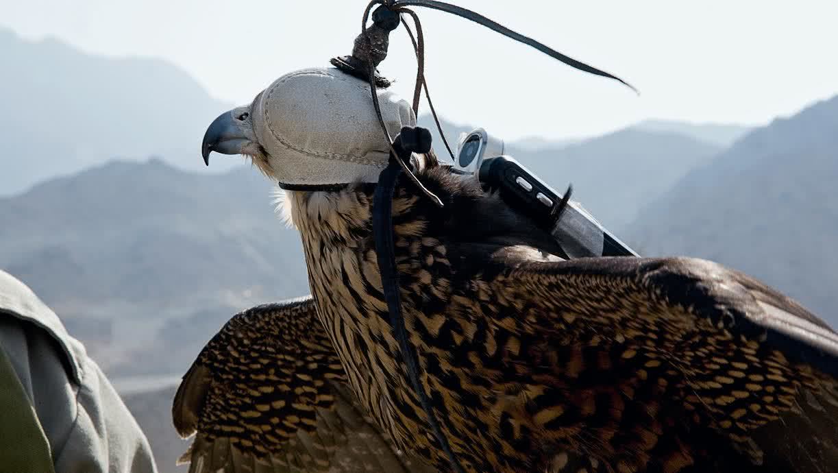 On Air, 2009-2012. Laurent Grasso. Foto: Cortesía de Laurent Grasso Studio, París.