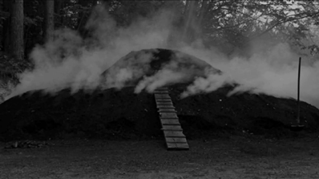 Elise Vandewalle. Première demeure (2010)