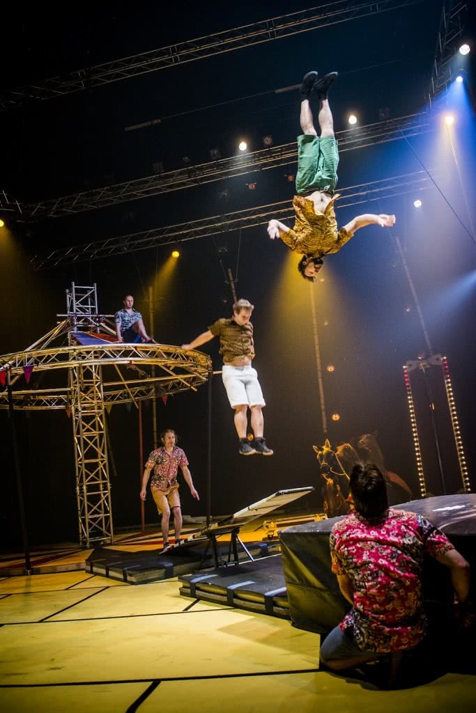 Race Horse. Super Sunday