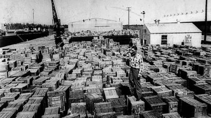 Las piedras del monasterio de Sacramenia (Segovia), a su llegada a Florida, en 1953.
