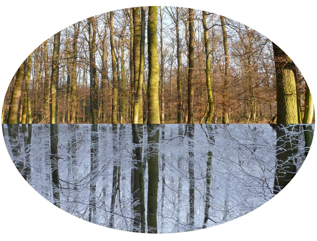 Glenda León. Cada Respiro.