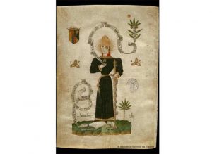 Fernando Bolea y Galloz y Carlos d'Evreux y Trastámara (Príncipe de Viana). Cartas a los Reyes de Aragón, Castilla y Portugal. 1421-1461. Biblioteca Nacional de España.