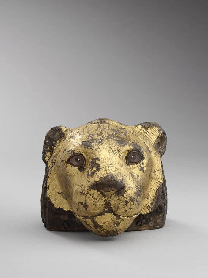 Elemento de un mueble en forma de cabeza de león. Madera de taray (Tamarix aphylla).