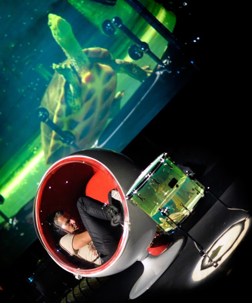 Daisy. Foto: Christian Berthelot