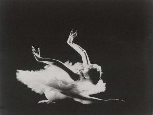 La muerte del cisne. Fondo CND. Foto: Paco Ruiz.