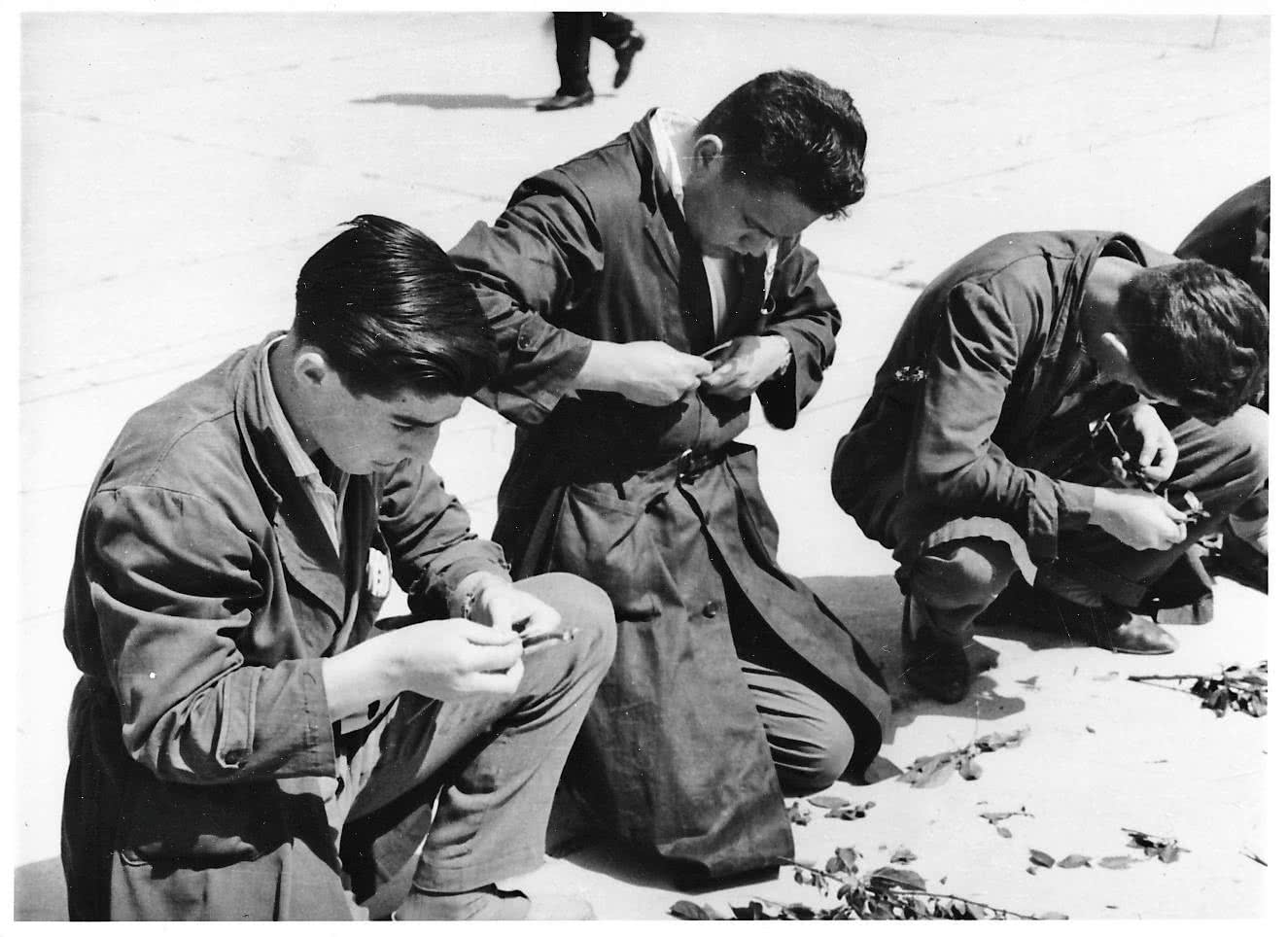 La exposición "Ni hueso ni pepita" comienza con una fotografía tomada en 1959 en la Escuela Rural de Nuestra Señora de Cogullada (Zaragoza). En ella aparecen tres alumnos en un ejercicio práctico de injertos frutales, concentrados en la manipulación de patrones de almendro. El alumno a la izquierda es el padre de Enrique Radigales.