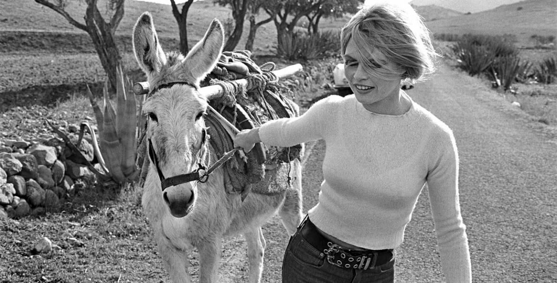 Brigitte Bardot. César Lucas.