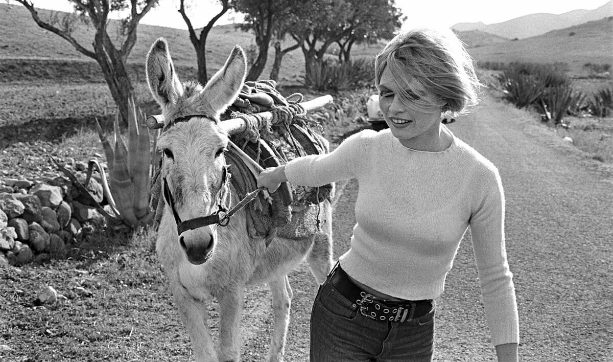 Brigitte Bardot. César Lucas.