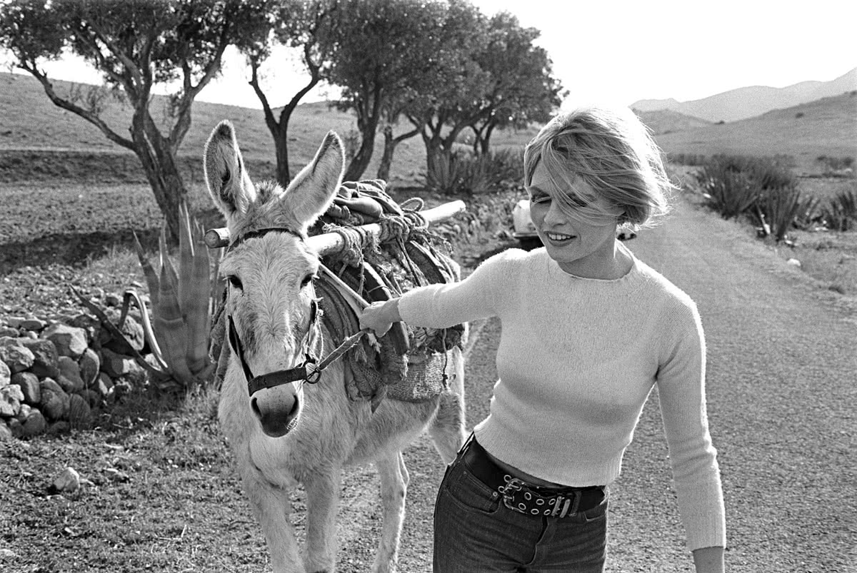 Brigitte Bardot. César Lucas.
