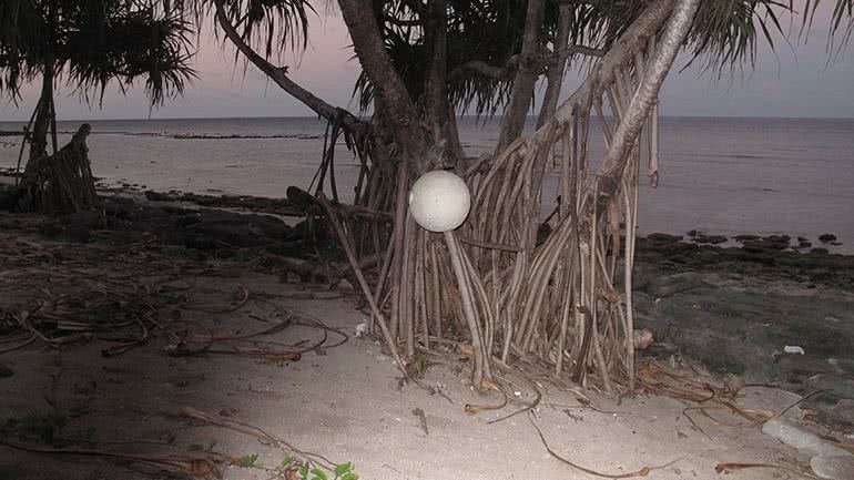 Alexandre Estrela. Cápsulas de silencio. 2015.