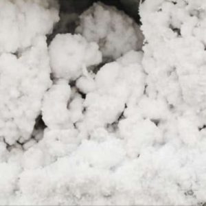 Extractio Angel Albaladejo2