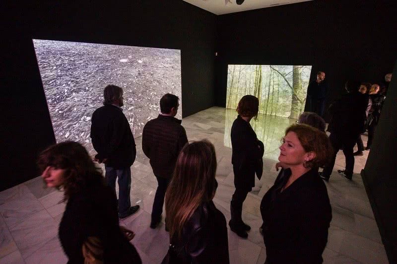 Exposición de Glenda León en el CAAM.