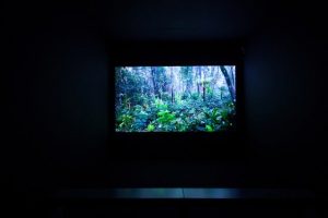 Sara Ramo. Os Ajudantes (Los Ayudantes), 2015. Vídeo HD, color, audio 5.1. 19´26´´.