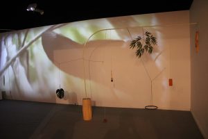 Leonor Serrano Rivas. Movimiento armónico. Premio Solán de Cabras de Arte Joven. ARCOmadrid 2016. Foto: Luis Martín.