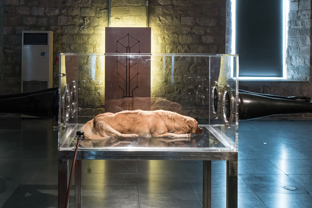 Vista de salas 'No temeré mal alguno'. Fotos: Miquel Coll, MACBA.