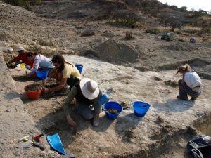 Equipo Olduvai, 2013. © Javier Trueba / Madrid Scientific Films.