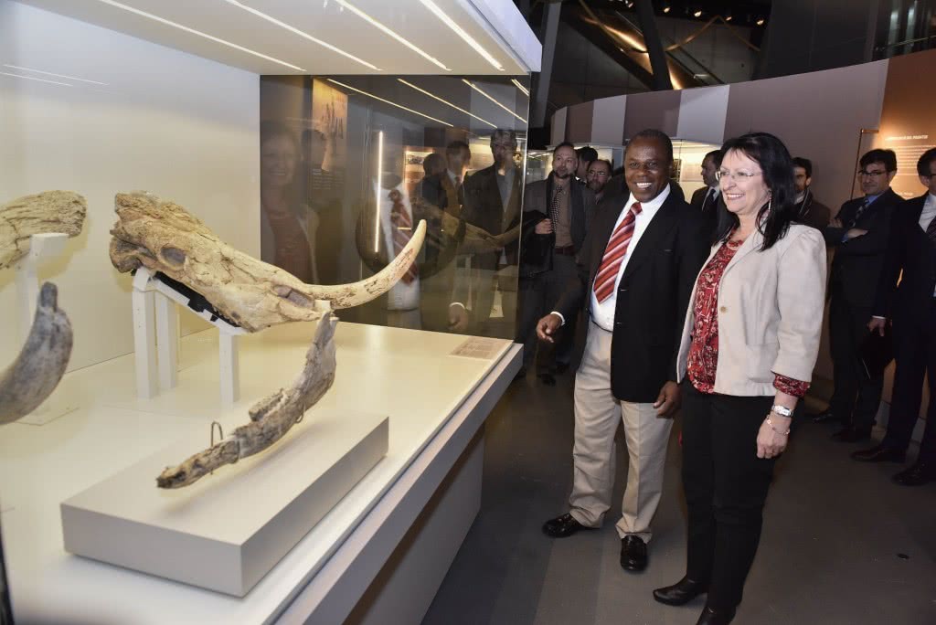 Exposición 'La cuna de la humanidad'.