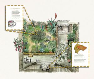 Casandra Sabag y María Rafaela Palacios Correa. Un jardín propio, 2016.