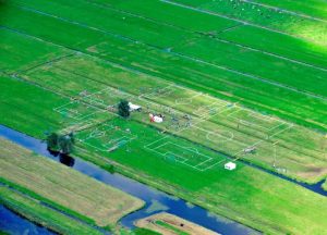 Maider López Polder Cup, 2010. Foto: cortesía da artista.