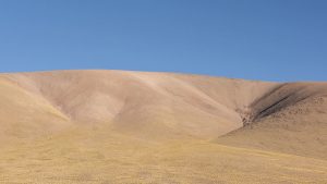 LA PAREJA. 100 x 178 cm. Captura digital. Reproducción Chromaluxe Art, por sublimación sobre soporte rígido de aluminio. Edición limitada, numerada y firmada por el autor: 1/6 + 2 P/A.