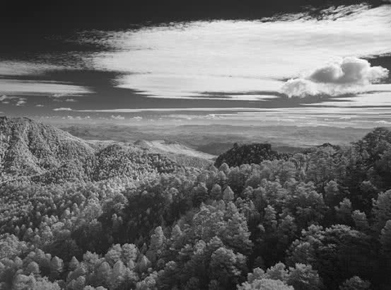 Parque natural del Río Dulce y Pelegrina / Natural park of Río Dulce & Pelegrina, 2014 © John Davies, VEGAP, Madrid, 2016.