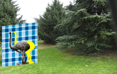 José Antonio Ocaña Martínez. Ars Naturale.