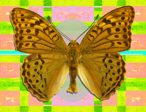 José Antonio Ocaña Martínez. Pandora sobre Mantelius.