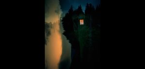 Kathryn Cook: The Black Forest, 2014.