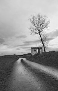 Rogelio Allepuz. Caseta con árbol.