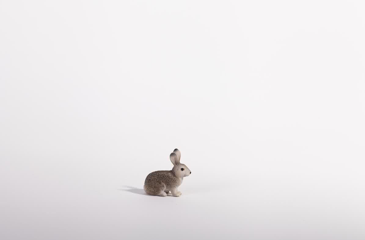 Ana Márcia Varela. Un día en la vida. 2016.