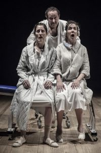 La Extinta Poética (ensayo).