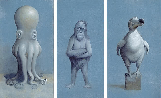 Javier Sáez Castán. Pulpo, Orangután y Dodo, 2012.