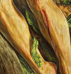 Javier Aramburu. 'San Sebastián'.