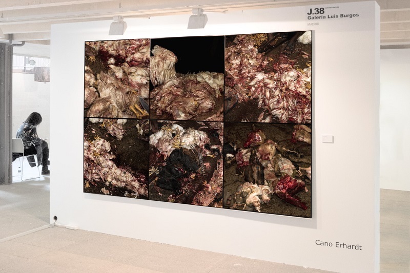 'It’s a still life', 2016. Cano Erhardt. Galería Luis Burgos en Jusmad 2017.