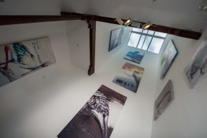 Oswaldo Maciá. Volucrarios.