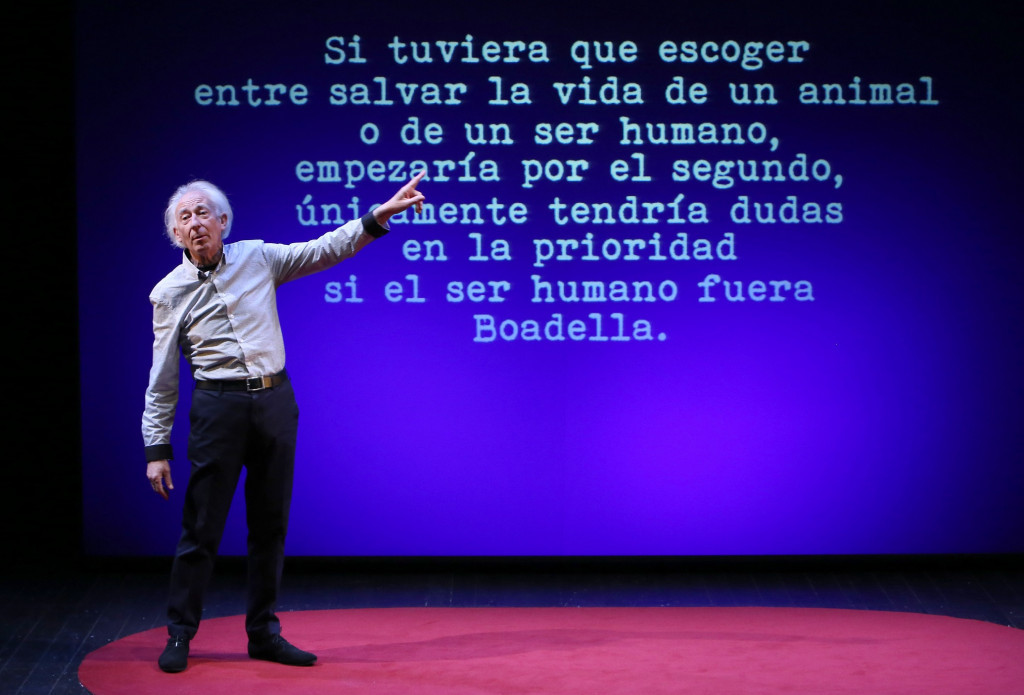 El sermón del bufón. Foto: Jaime Villanueva.