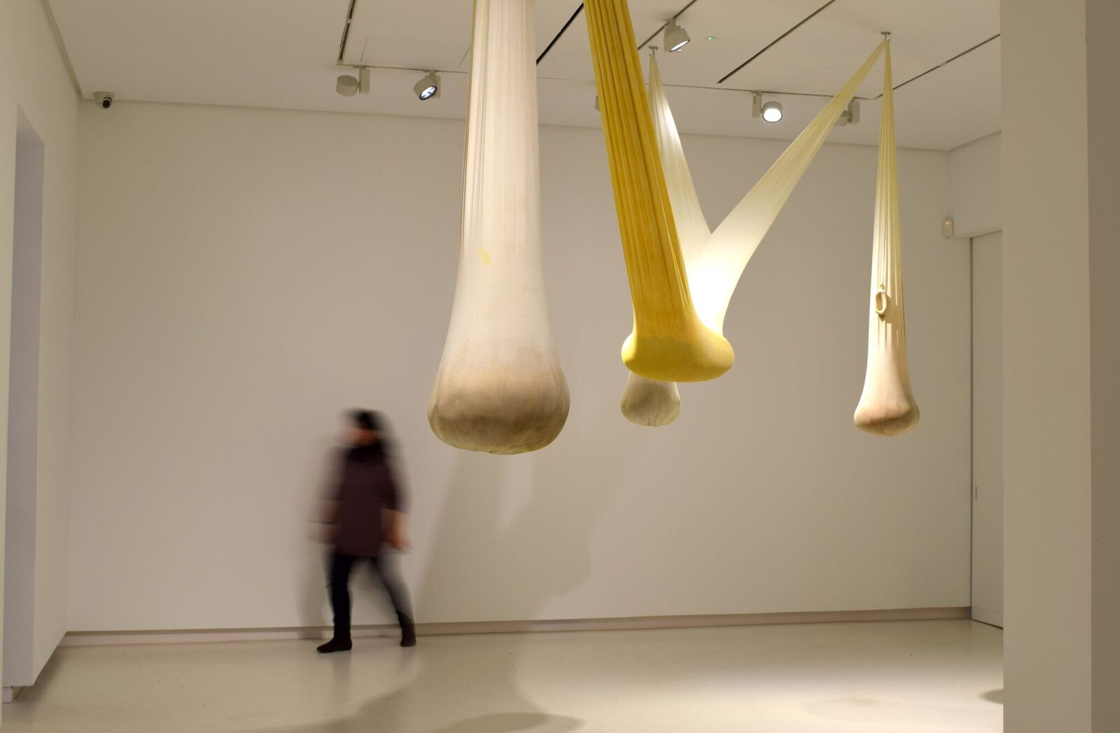 Ernesto Neto, O corpo consciente se desloca voador. Galería Elvira González.