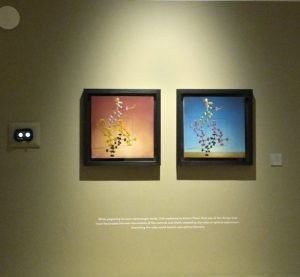 Dalí. Estereoscopías. La pintura en tres dimensiones.